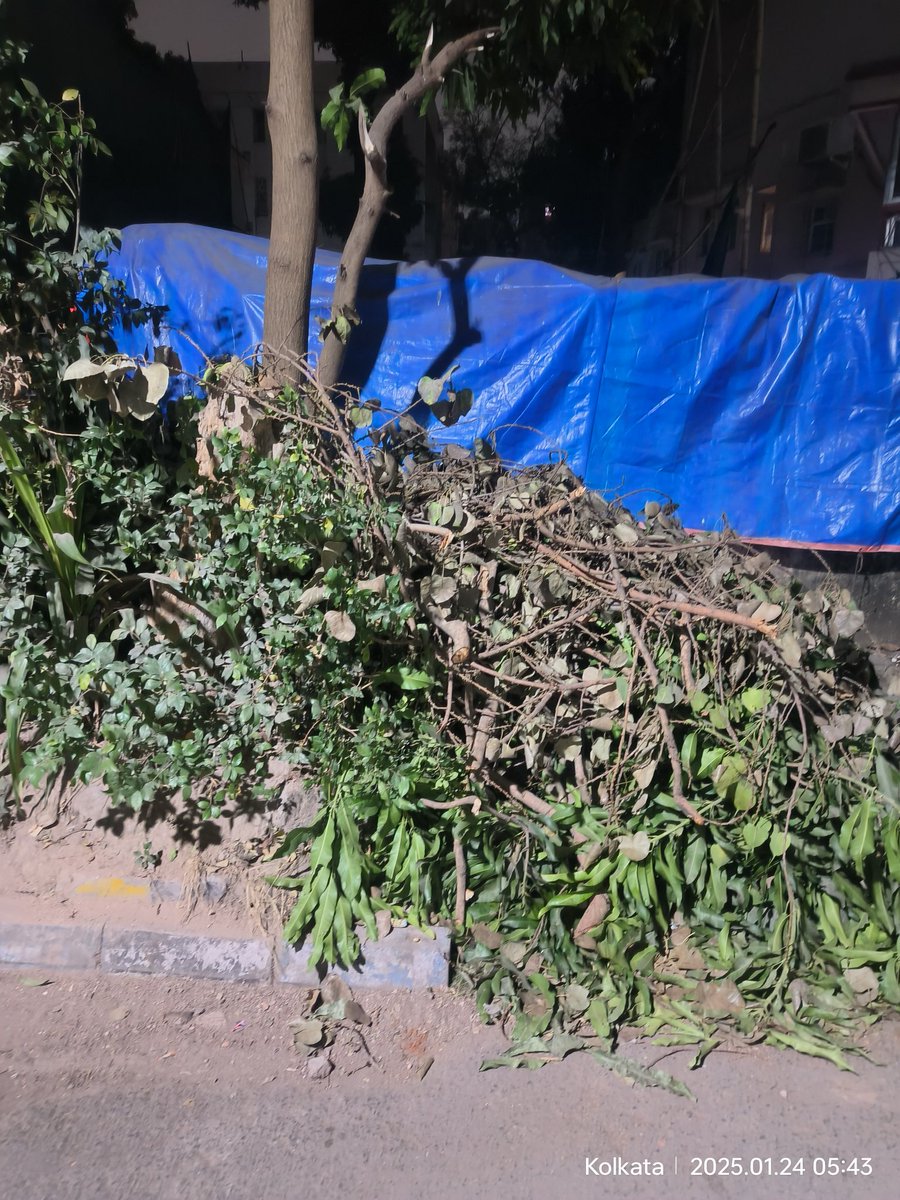 suranamit's tweet photo. @kmc_kolkata @TOIKolkata @FirhadHakim @KolkataPolice 
I am a resident of Block G, New Alipore & want to bring to yr attention a concern regarding d tree trimming waste in front of my house. A corporation team visited our area a few days ago to trim d trees, but unfortunately,have not yet cleared d waste.
Thank u in advance & kindly arrange for d clearance at the earliest.