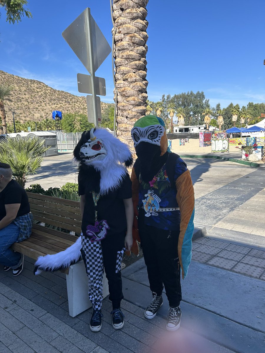 boris_the_bee's tweet photo. hey im trying to s3ll this bird fursuit for 300 usd + shipping 
OR two prismatic evolution etb + shipping 
more info about him is in the tiktok
#fursuitforsale 

https://t.co/GVSPzPegrP https://t.co/qPemSr0qd4
