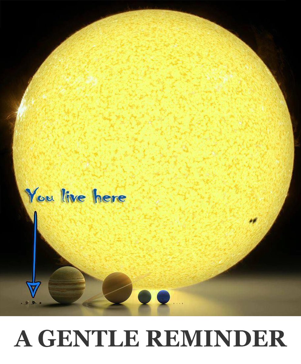 Curiosity tweet media