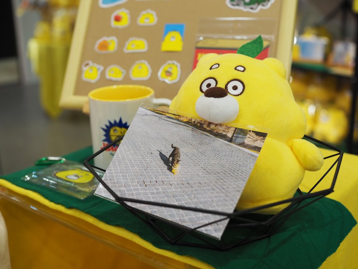 本日よりひろくまPOP UP SHOP開催🍋 ＼ ついに関東で初のPOP UP SHOPが