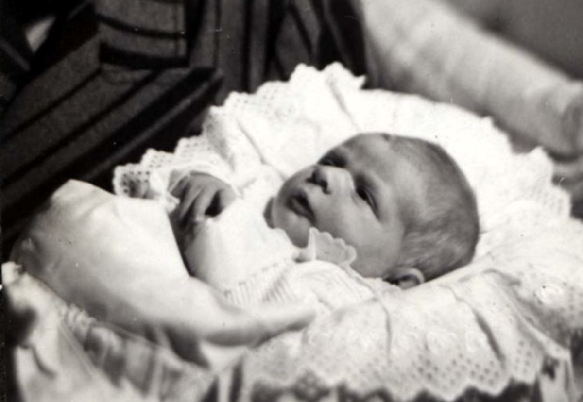 Auschwitz Memorial tweet media