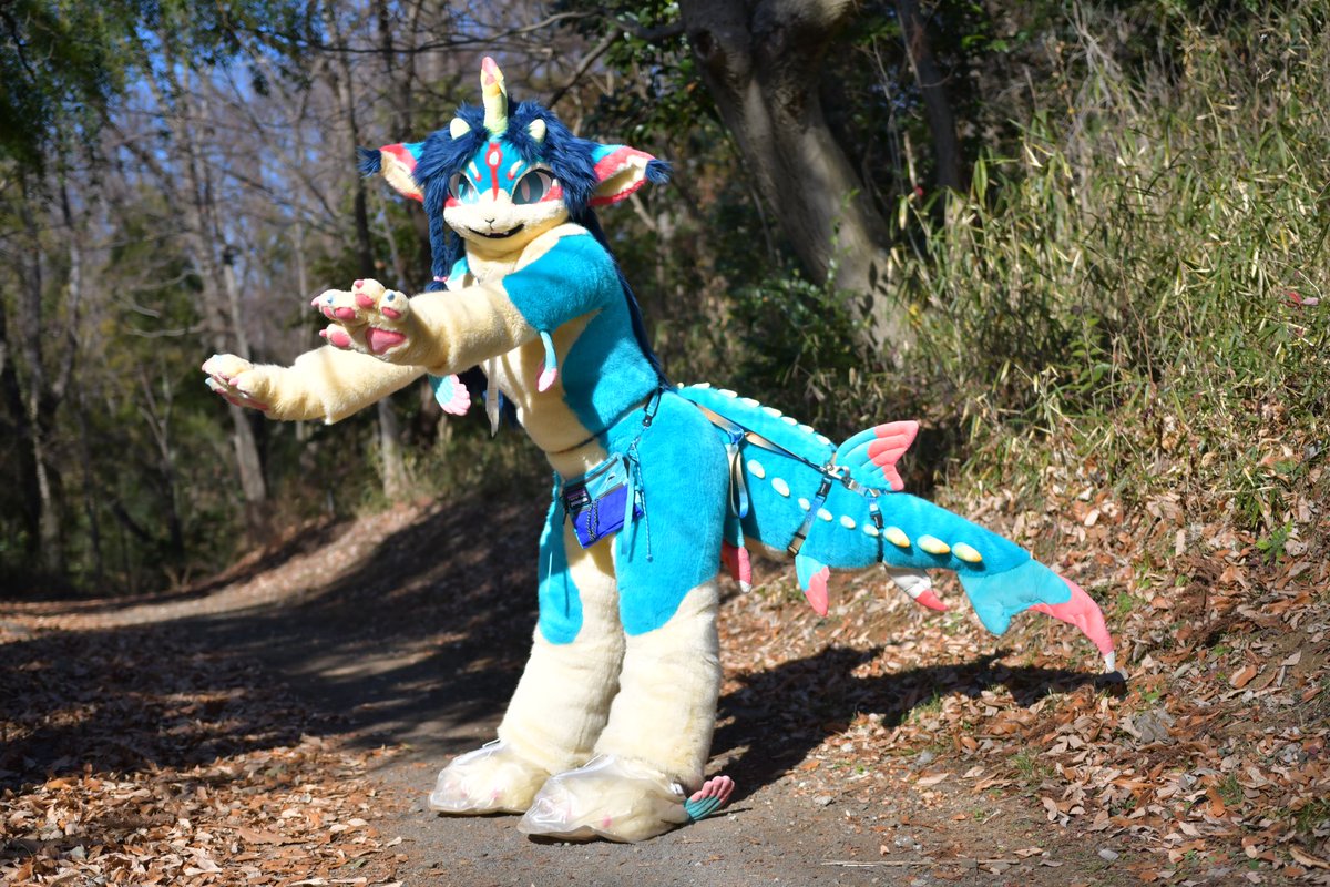 🌲🍂🐬🍭
📷: <a href="/siroka885/">あふけ</a> 
#ケモノフォーカス
#FursuitFriday