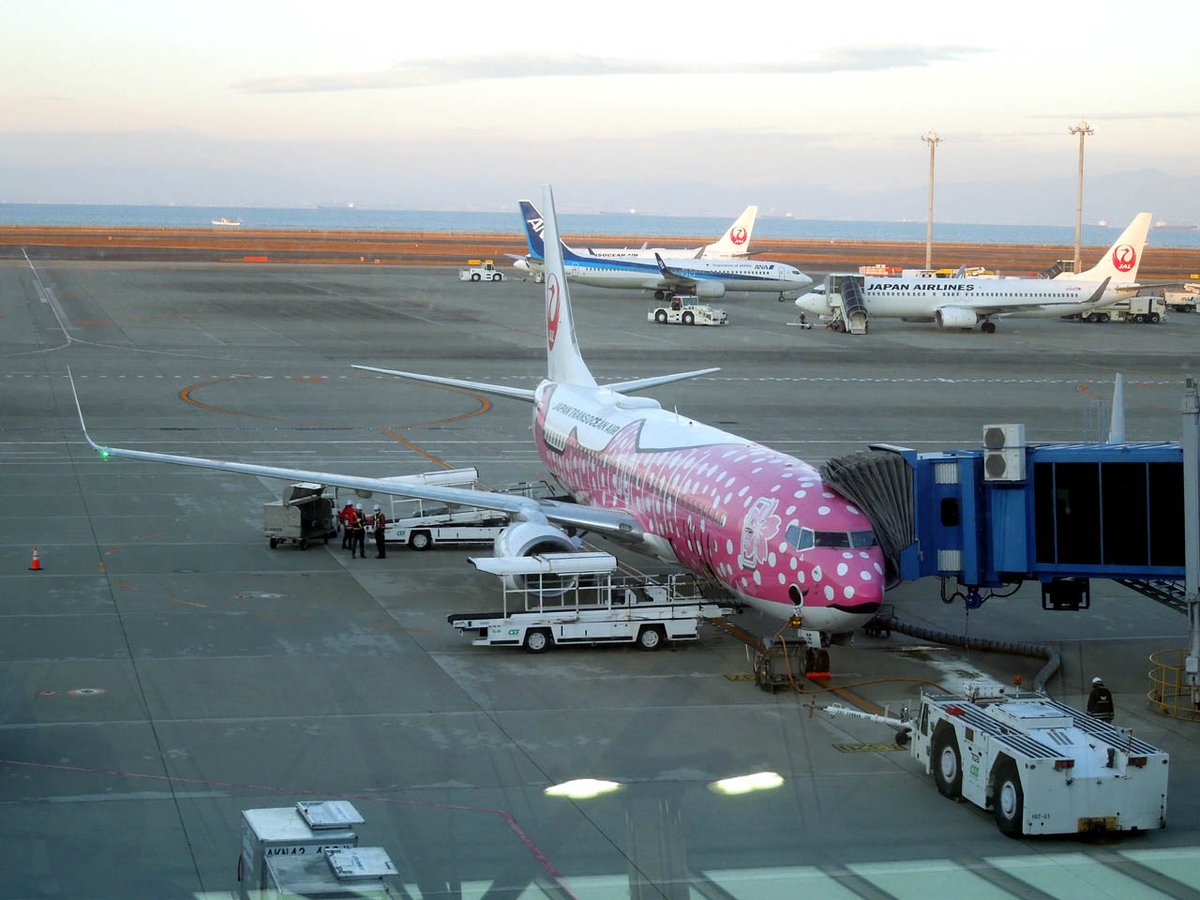 bcs758's tweet image. NGO --> OKA の機材が 『さくらちゃん』でした ∠(^。^)ノ
ちょっとした事ですが 嬉しいんですよね! かわいくて 何時までも見ていたいデザインです。
あと、国内では中部空港でした見られない機体にも遭遇。 ダブルでラッキーでした。
#JAL #JTA #日本航空
