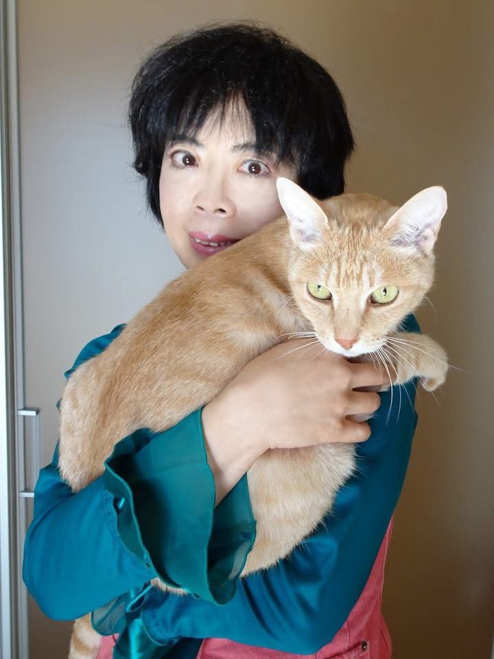 MikuriyaNo_Miko's tweet photo. エルマウはこんな猫1️⃣ https://t.co/35UCBdylfj