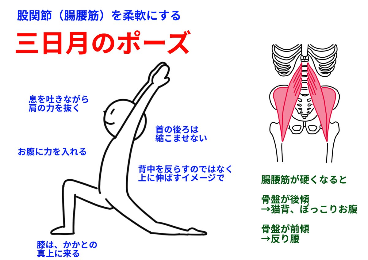 腸腰筋は
大腰筋(だいようきん)と
腸骨筋(ちょうこつきん)からなります

大腰筋は脊柱(背骨)を安定させる働きがあり
大腰筋をほぐすと
腰痛が楽になり
背中や肩のコリにもほぐれやすくなります

腸骨筋は足を振り出す時に働くので
腸骨筋をほぐすと
歩幅が広くなり足取りが軽くなります 