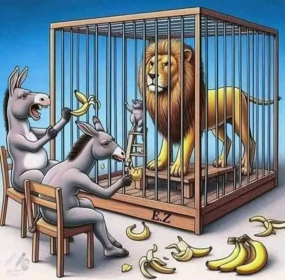 Eşekten Gelen Cesaret Değildir
Eşeği, Arslana  Karşı Cesaretlendiren Durumlardır...