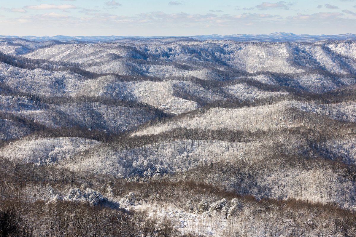 CrisRitchiePics's tweet image. Winter layers. From a few days ago.
