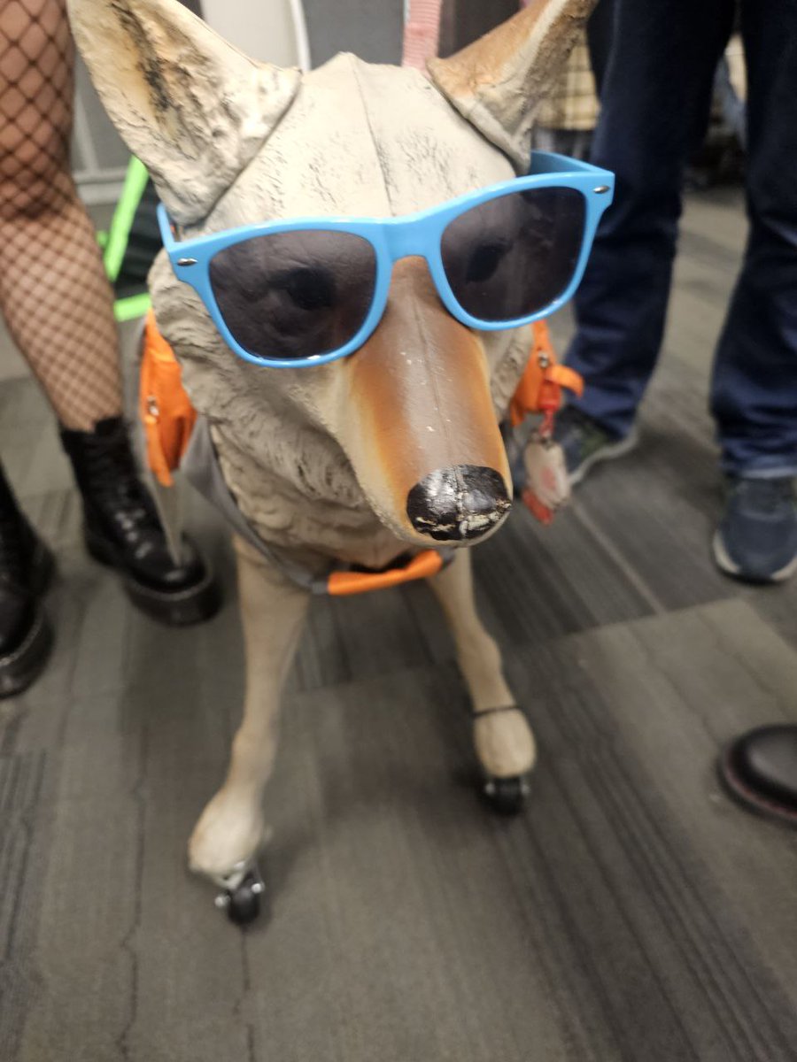 Finally time to gather my thoughts after #FurCon2025 and what an amazing time it was. Y'all have no idea how much I needed this, all sappy stuff ahead in replies lol >