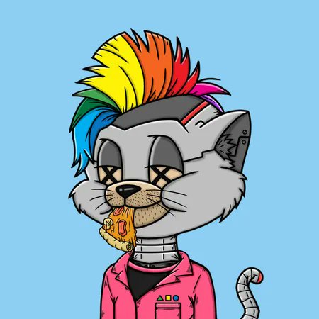 A-Bored-Cat tweet media