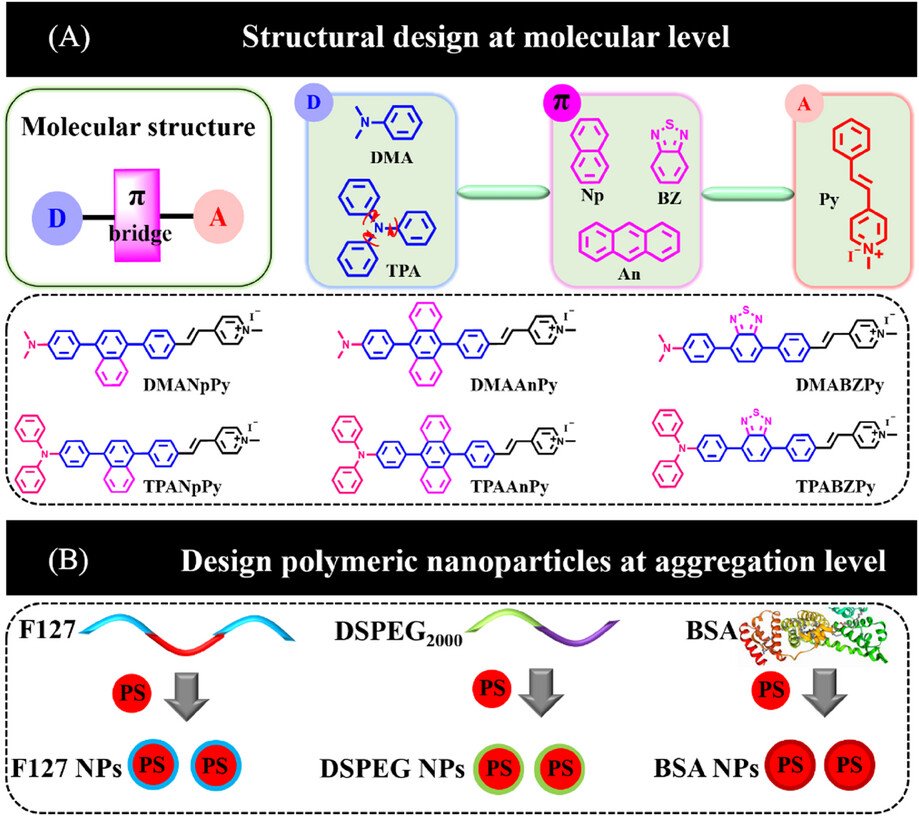 AggregateOA's tweet image. New Research Article🔬
"Mechanism research of type I reactive oxygen species conversion based on #molecular and #aggregate levels for tumor photodynamic therapy" by Qing Wan, Xinke Zhou &amp;amp; Muzhou Teng et al. @iLZU1909 @WileyBiomedical #ROS #PDT 

Check👉doi.org/10.1002/agt2.6…