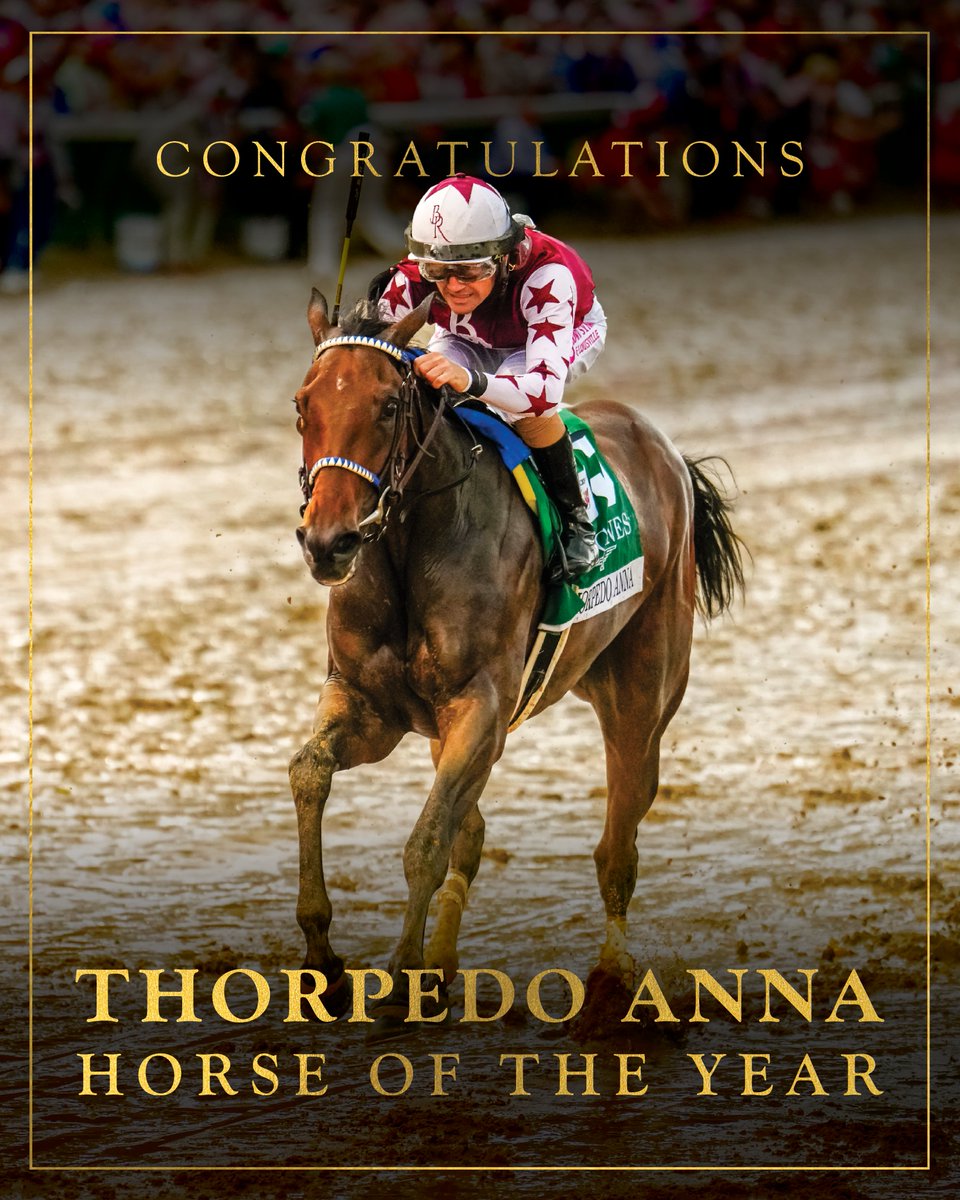 KentuckyDerby's tweet photo. Your 2024 Horse of the Year, Thorpedo Anna 🐻 https://t.co/0VLoXi5Q2o