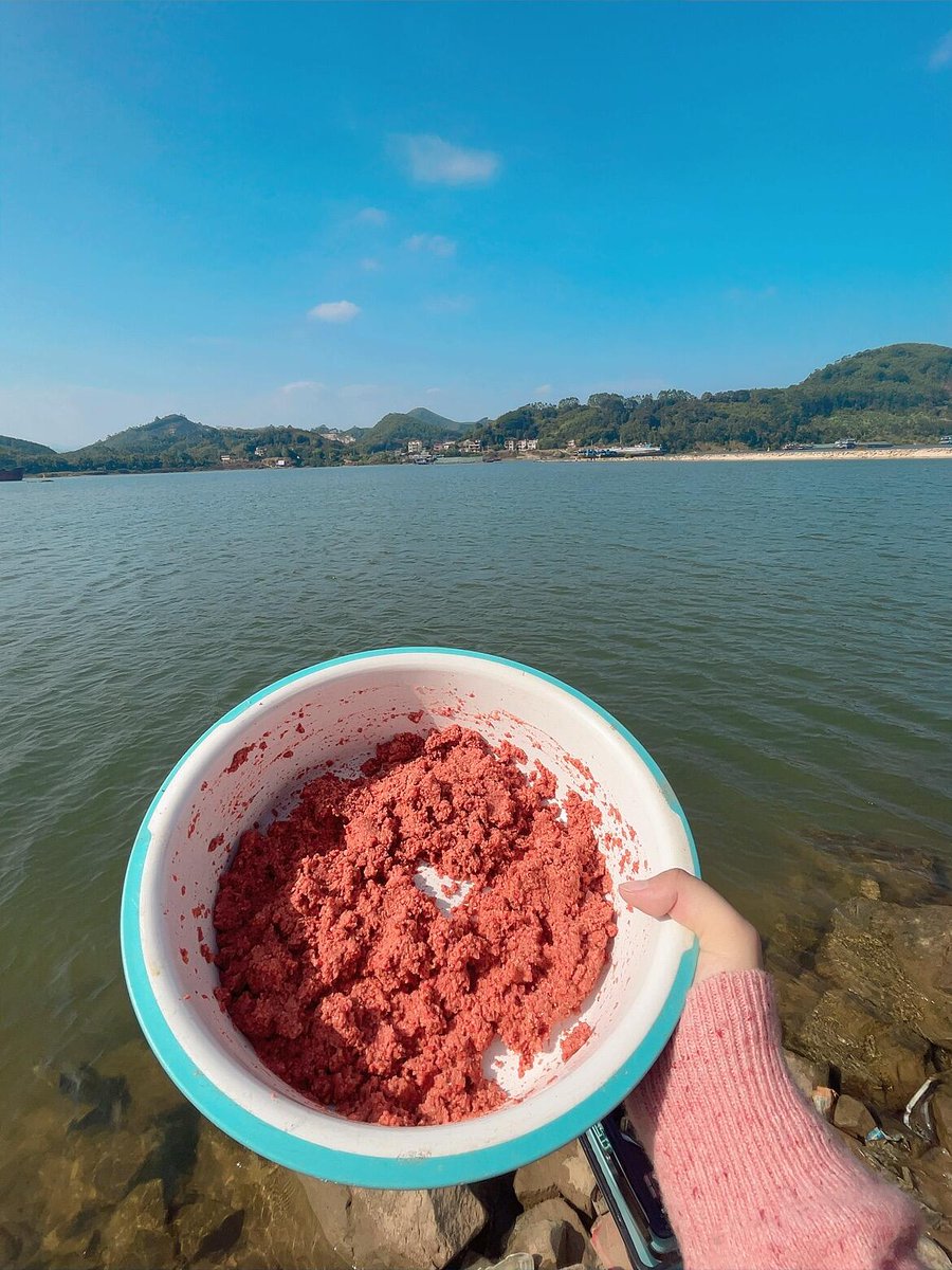 fishing_eva's tweet photo. 今日、江風が私を風邪にさらした。風が強すぎたが、やっと赤目を釣った。白くなかった https://t.co/vOm5KgJCaM