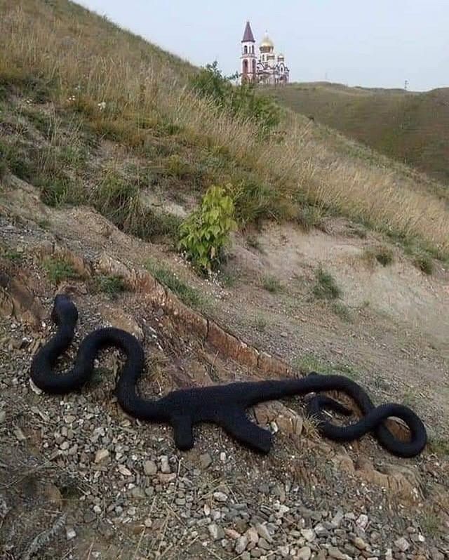 pedestrian's tweet photo. AK Python by Vasily Slonov (2019) https://t.co/mUroVvuXfi