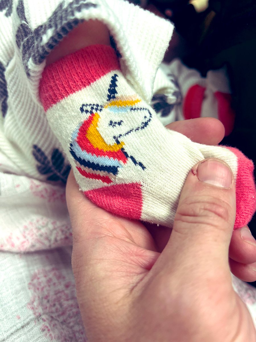 If $UFD dusters need a bit of good news during this dip (besides the fact that beans are on Black Friday sale) 

We had a baby unicorn on Friday 🦄 

#GoodAttractsGood