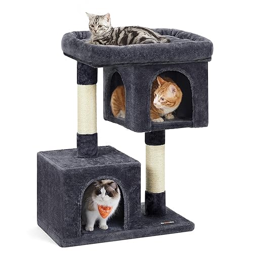 I just received a contribution towards Cat Tree for Carol ! from Anonymous via Throne. Thank you! throne.com/meowtalie #Wishlist #Throne