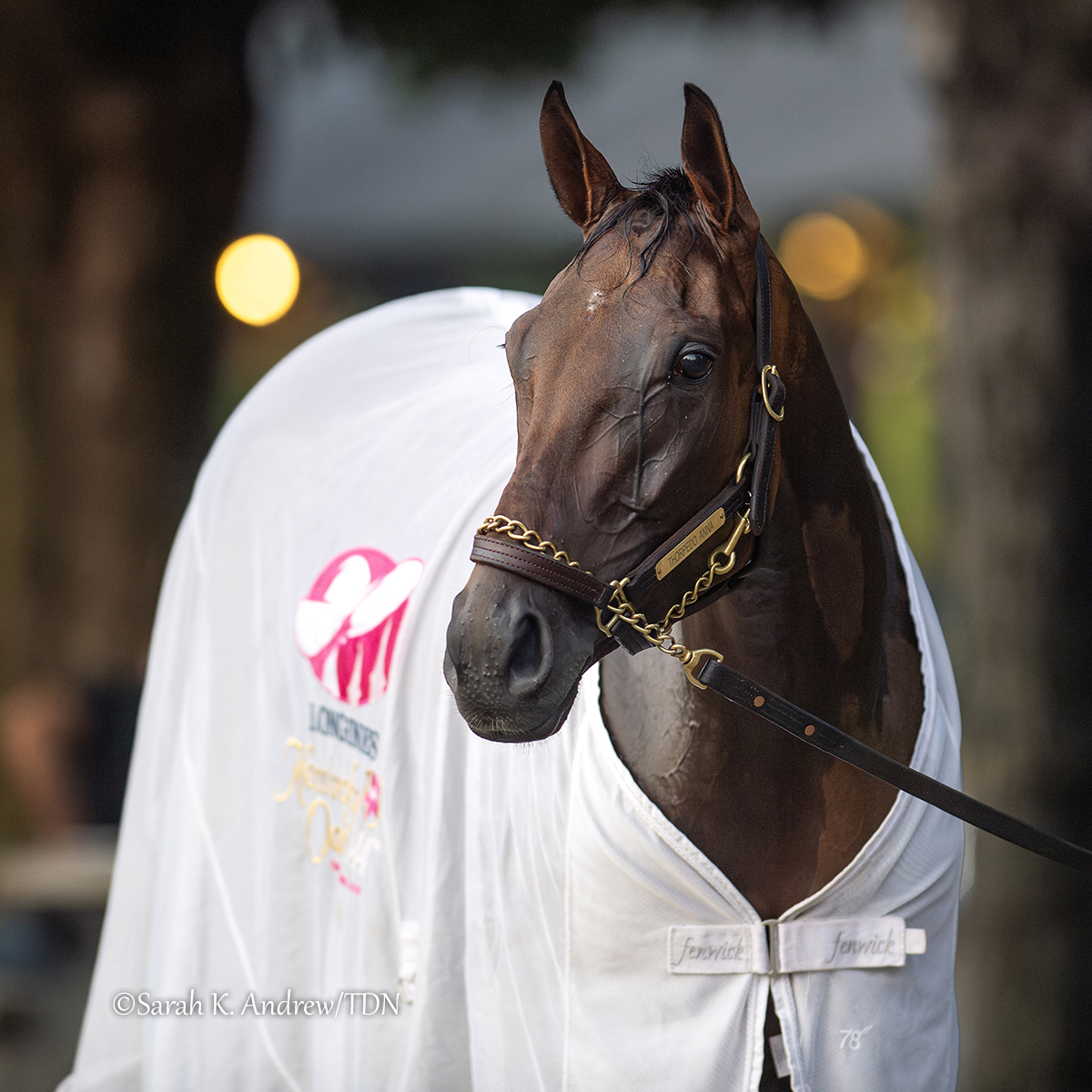 theTDN's tweet photo. Thorpedo Anna 👑 Your 2024 Horse of the Year

🥇 GI Longines Breeders' Cup Distaff
🥇 GI Cotillion Stakes
🥈 GI Draftkings Travers Stakes
🥇 GI Coaching Club American Oaks
🥇 GI DK Horse Acorn Stakes
🥇 GI Longines Kentucky Oaks
🥇GII Fantasy Stakes

2024 Season Earnings: $3,653,050

Congratulations to all of her connections! Thorpedo Anna (Fast Anna) joins Rachel Alexandra as the only 3-year-old fillies to take home Horse of the Year honors.

And as trainer @KennyMcPeek said, this is only the beginning! We're looking forward to the continuation of her career as she heads into her 4-year-old season.

Read more: https://t.co/XBF4LQtuhx