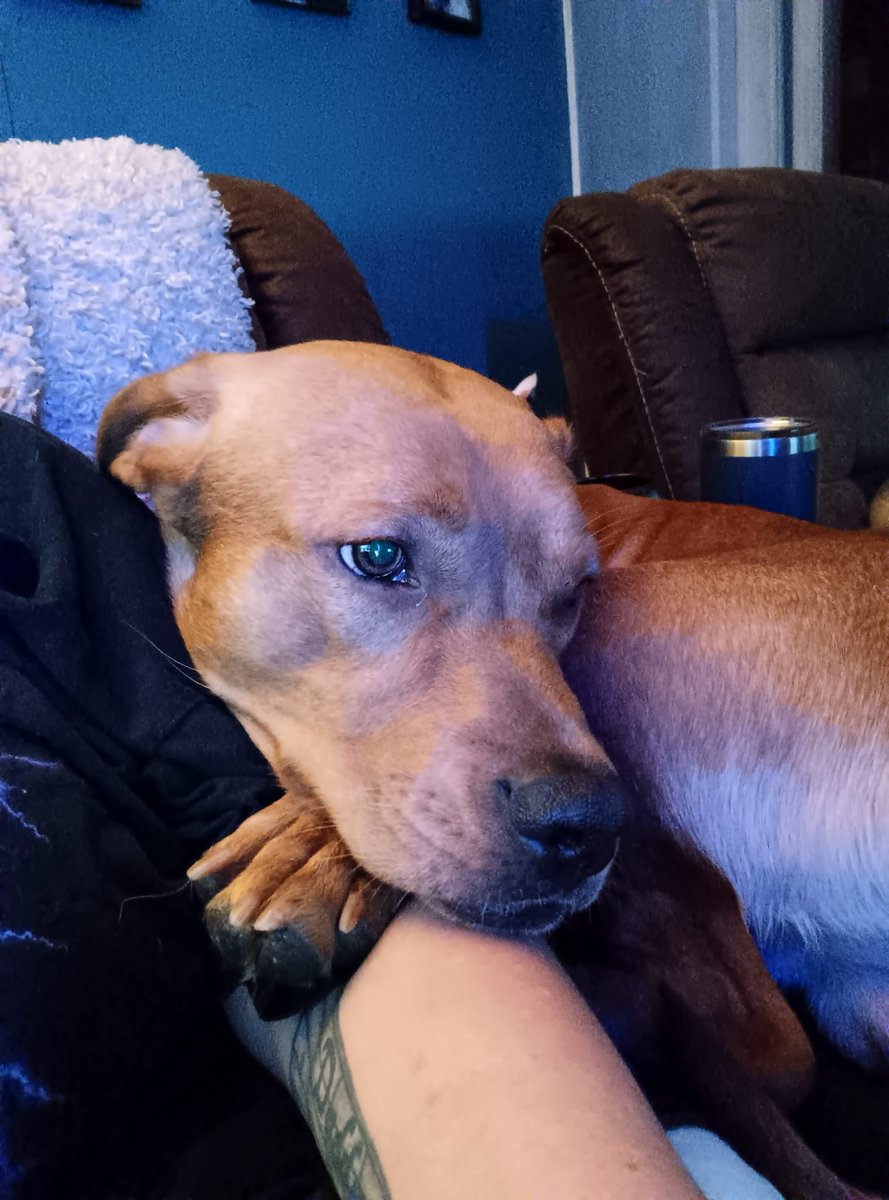 Lillyth Eden (@lillytheden) on Twitter photo 