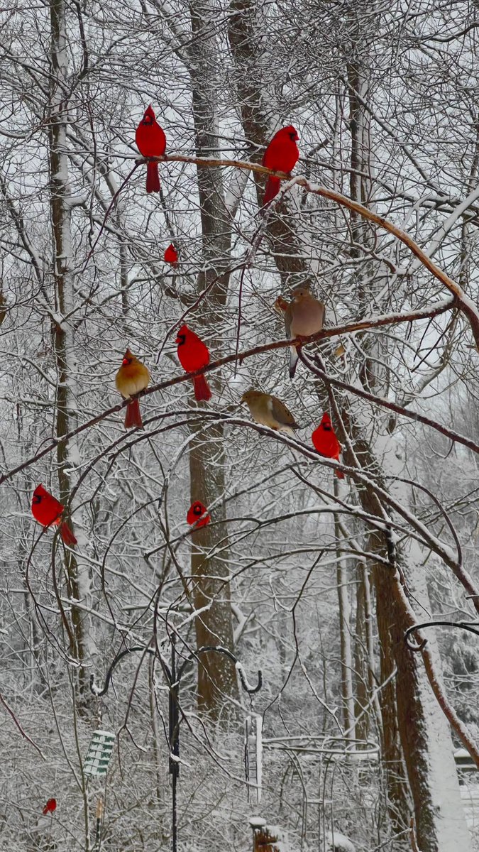 goneers's tweet image. Stunning