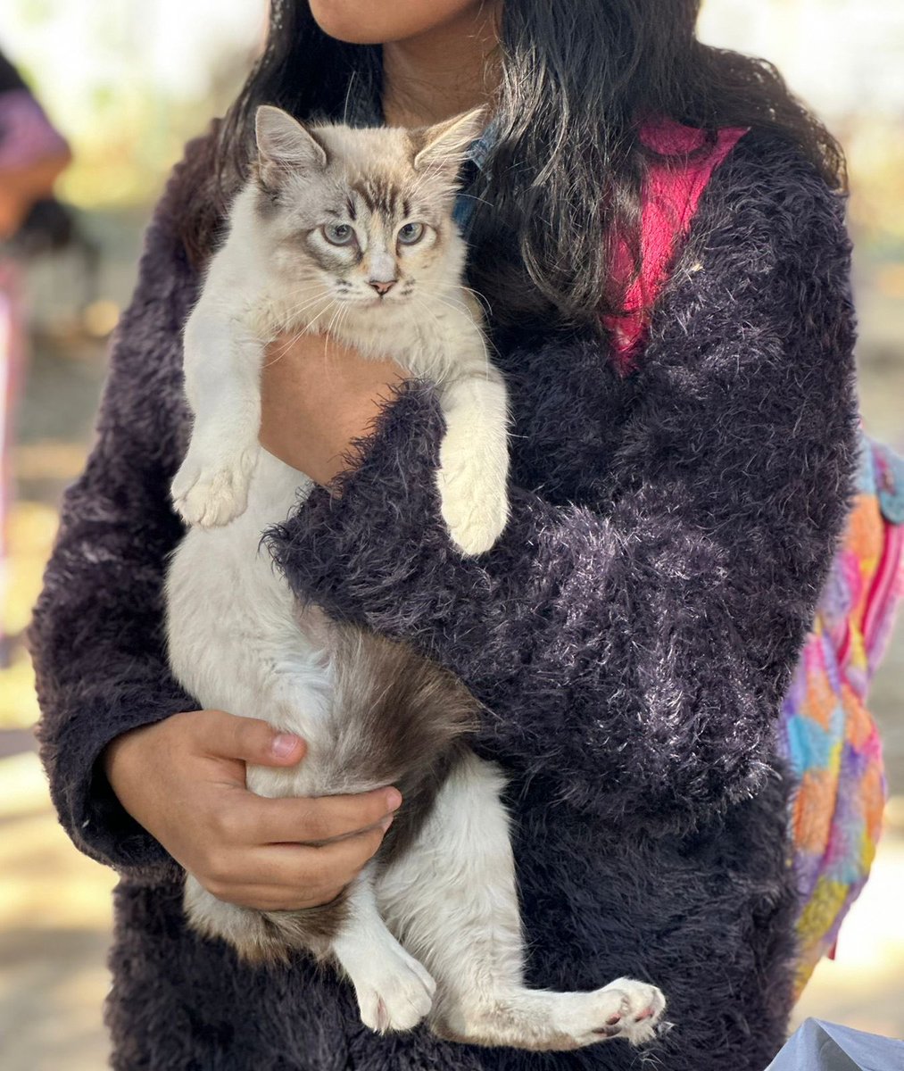 maribelmruiz's tweet photo. En #ViVaAC tratamos con respeto y cariño a nuestros lomitos y michis🐈🐕
Con entusiasmo acudimos al Fraccionamiento Los Sauces de la agencia de Sta Rosa Panzacola con nuestra Jornada de Vacunación 💉 Antirrábica.
Agradezco a nuestra amiga Lourdes García y a mi amigo Ankor Díaz. https://t.co/eF2TR2ifKT