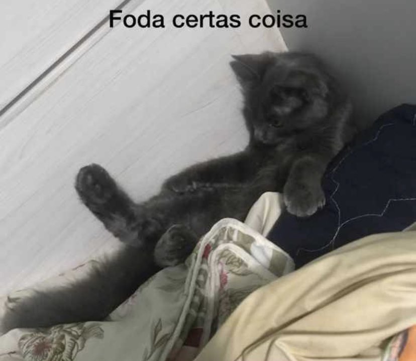 mescaio's tweet photo. É muito triste morar longe dos pais e vê-los poucas vezes no ano e sempre sentir um choque muito grande pelo envelhecimento deles https://t.co/i9p54ogF2Y