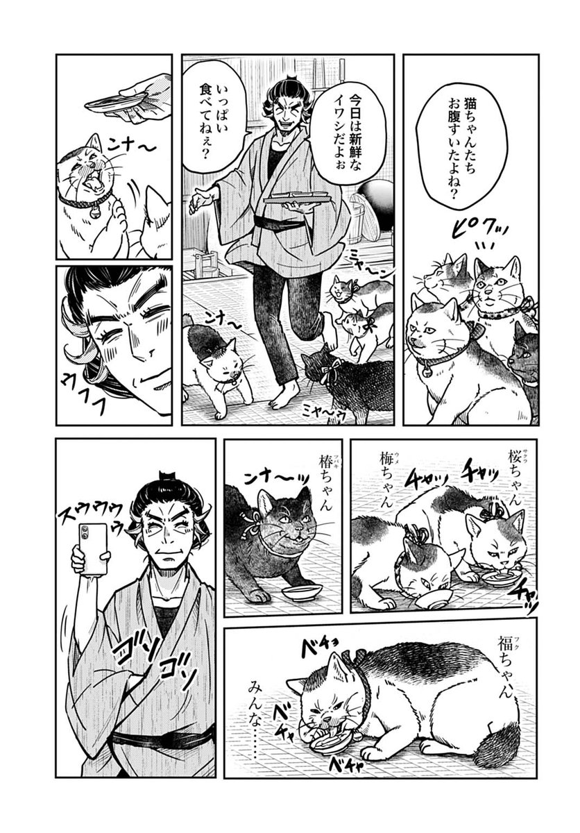 (3/6) 