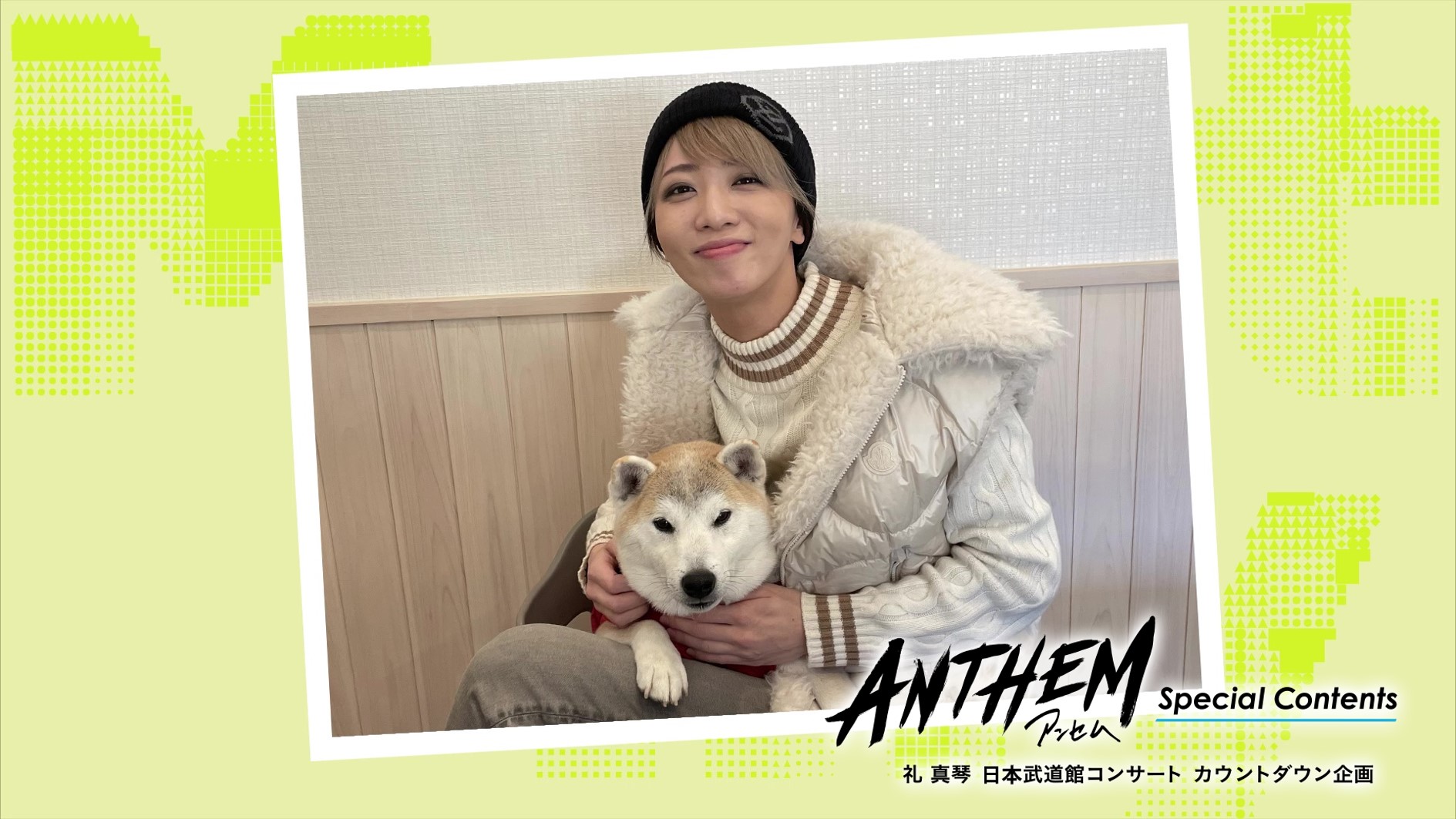 しば犬 新撰組 京都 星組 礼真琴 新品 宝塚 のびしば まこーと