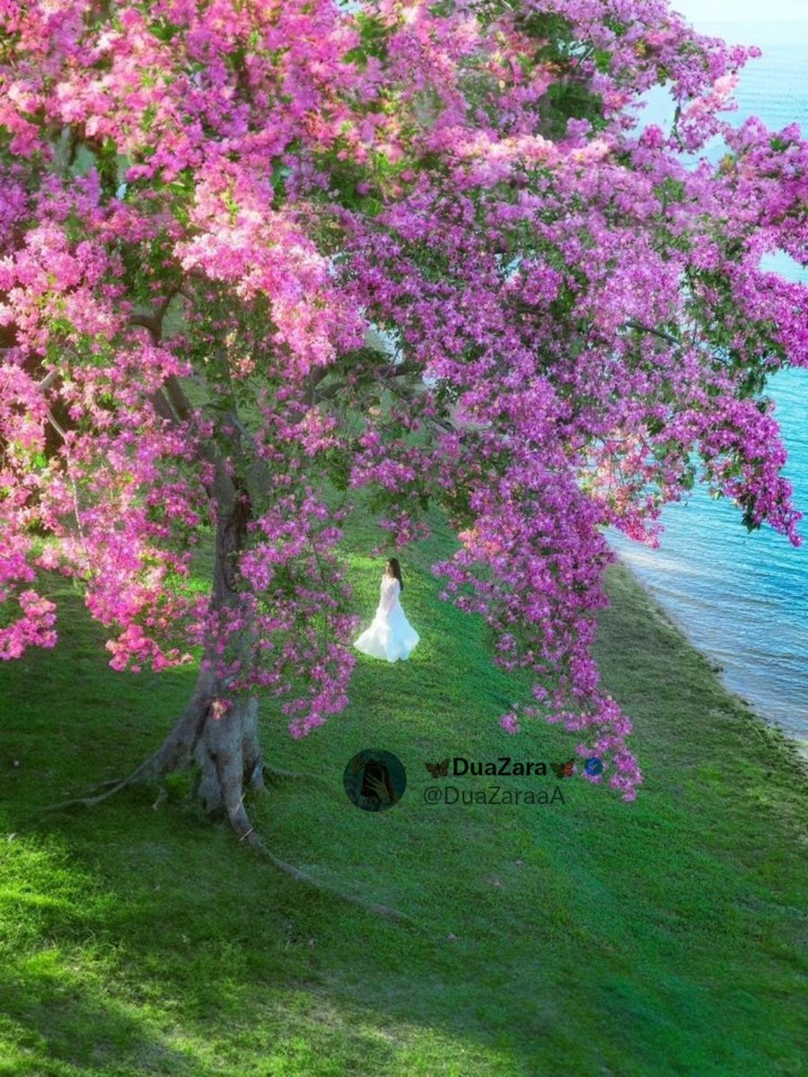 WE MAY ENCOUNTER MANY DEFEATS BUT WE MUST NOT BE DEFEATED🍁

Good Morning 🍁