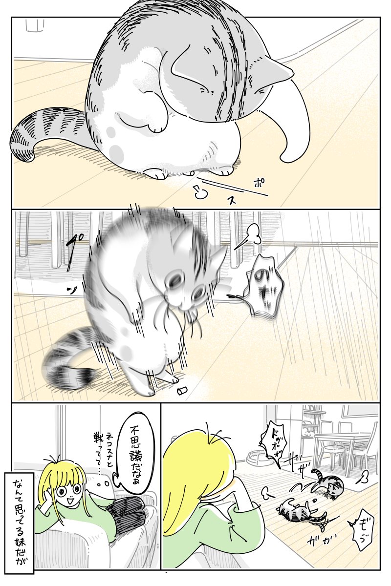 キュルZ tweet media