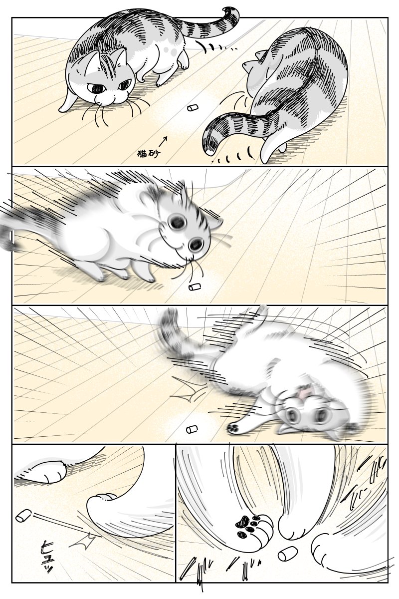 キュルZ tweet media