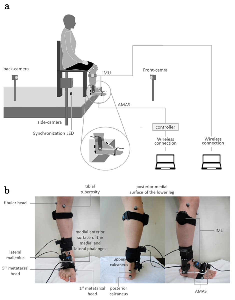Biomech_MDPI's tweet photo. This new study aimed to validate the effectiveness of the Articulation Motion Assessment System (AMAS), a joint kinematic evaluation system, for clinical applications.
https://t.co/3yUCUAdtD1
#ankle #motion #rotaryencoder #analysis #biomechanics https://t.co/e6WbL3aOzn