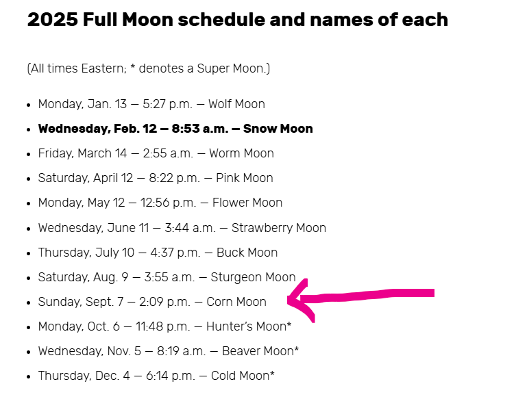 Lisa N Edwards tweet media