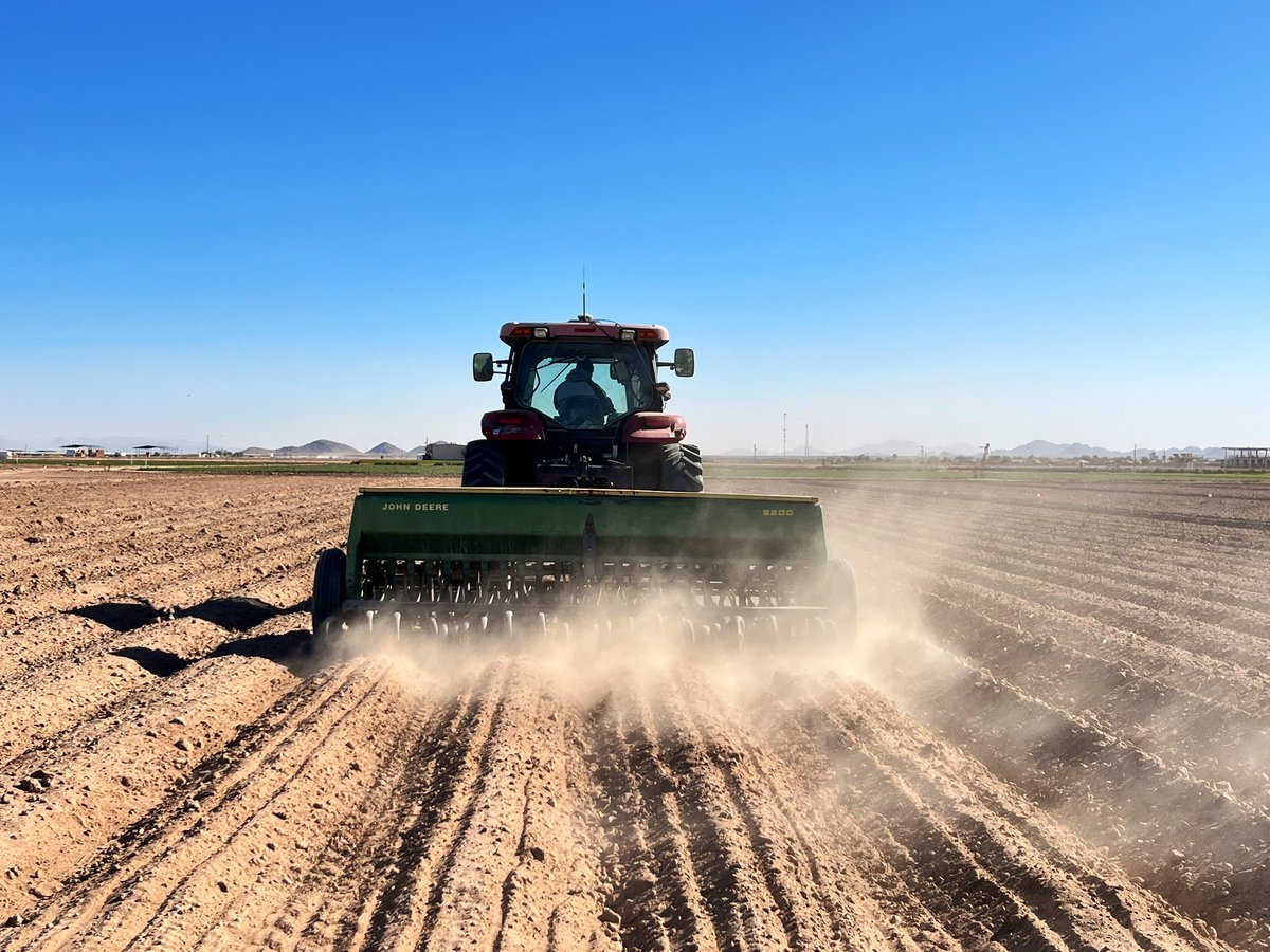DebankurSanyal's tweet photo. We are back again to plant cover crops in the desert before cotton. It’s always fun to work with diverse mixes! To manage planting in a replicated randomized design, we had to use walkie-talkies! Cover crops are fun! 
#UASoilHealthResearchExtension 
#HealthyDesertSoilsInitiative https://t.co/sRjuvj56cS