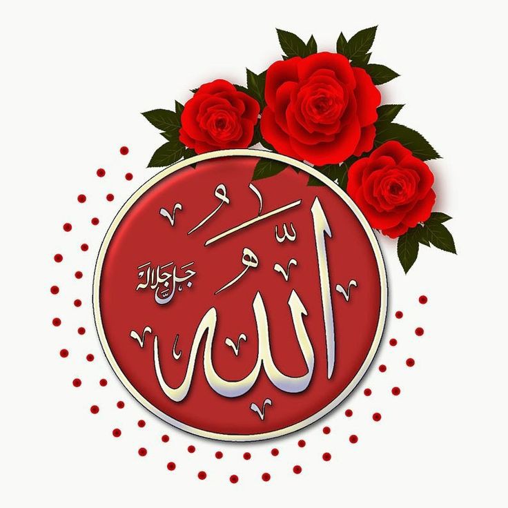rabbimemeftun's tweet photo. بِسْــــــــــمِ ﷲِالرَّحْمٰنِ الرَّحِيمِ

﷽ 𝕷𝖆 𝖎𝖑𝖆𝖍𝖊 𝖎𝖑𝖑𝖆𝖑𝖑𝖆𝖍﷽

▪️"Sabrederek ve namaz kılarak Allah'tan yardım isteyin." 

(Bakara Sûresi, 153)

#hayırlıcumalar 🌹
#hayırlısabahlar
#sabahNamazı❤️ https://t.co/Ytrih2zytX