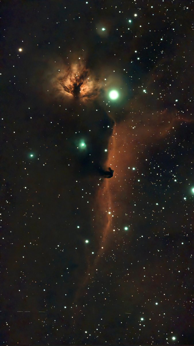 SgipMaster's tweet image. Recently got a Seestar S50. This is one of the first pictures I took with it. This is the Flame Nebula (NGC 2024) and the Horsehead Nebula (IC 434). I think it is one of the best pictures I&apos;ve taken so far. #seestar #flamenebula #horseheadnebula