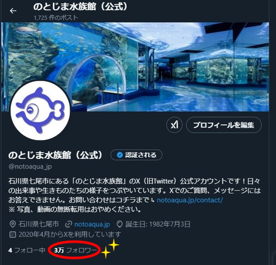 のとじま水族館公式Xのフォロワーが 3万人になりました🎉
いつも投稿をご覧いただき、ありがとうございます！！
今後も生きものたちの魅力をたくさん伝えていこうと思いますので、これからもどうぞよろしくお願いいたします🙇
　
＃公式X
＃祝3万人フォロワー
＃のとじま水族館