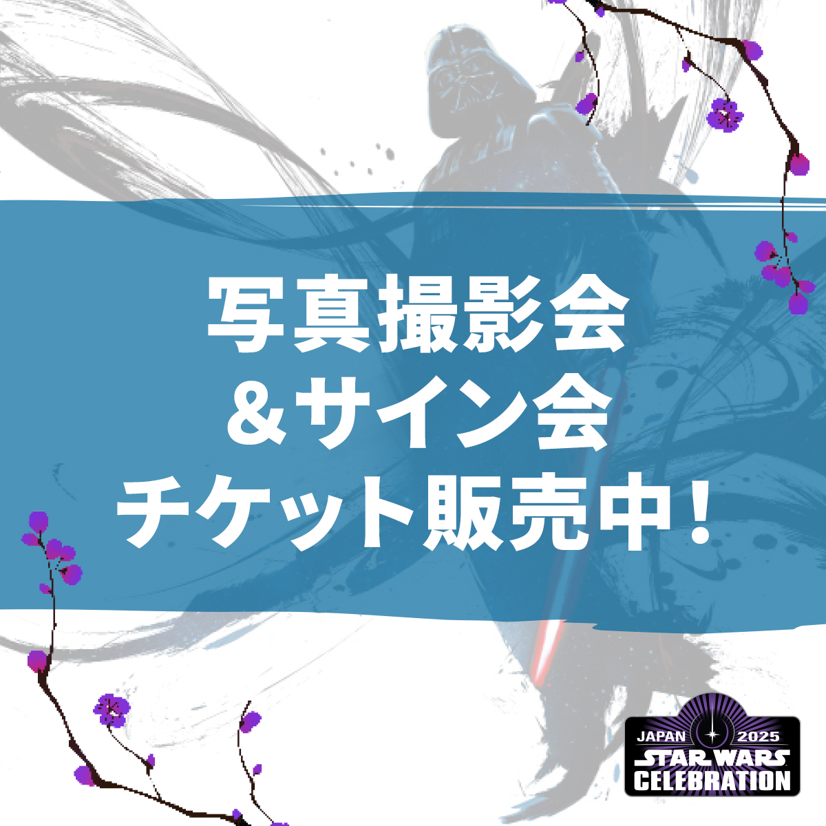 スターウォーズ　フォトサイン 61VP1FoqNhL._UF350,350_QL80_.jpg