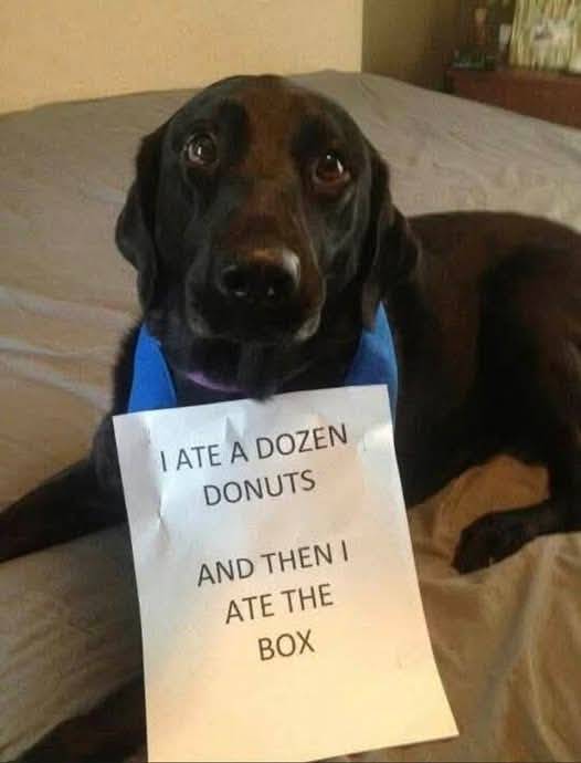 Pretty standard for a lab...