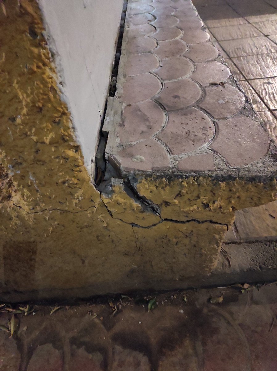 lapalabradera (@lapalabraderaa) on Twitter photo Jardineras que dan vergüenza. Cualquier día se vienen abajo... Calle Aben al Abbar 9. Puede pasar un técnico a realizar un estudio y dar solución!? <a href="/AjuntamentVLC/">Ajuntament València</a> <a href="/VLCVerda/">València Verda</a> <a href="/ValenciaNetaVLC/">ValenciaNetaVLC</a> <a href="/mjosecatala/">María José Catalá</a> <a href="/JuanmaBadenas/">Juanma Badenas</a> Jardineras que dan vergüenza. Cualquier día se vienen abajo... Calle Aben al Abbar 9. Puede pasar un técnico a realizar un estudio y dar solución!? <a href="/AjuntamentVLC/">Ajuntament València</a> <a href="/VLCVerda/">València Verda</a> <a href="/ValenciaNetaVLC/">ValenciaNetaVLC</a> <a href="/mjosecatala/">María José Catalá</a> <a href="/JuanmaBadenas/">Juanma Badenas</a>