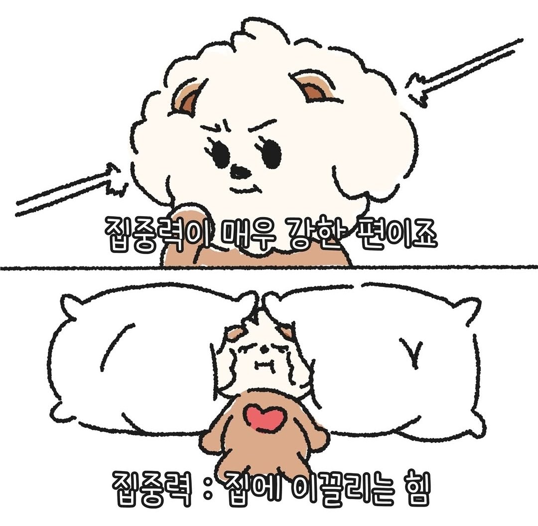 미친거아녀?개귀여워ㅋㅋㅋㅋㅋㅋㅋㅋㅋㅋㅋㅋ