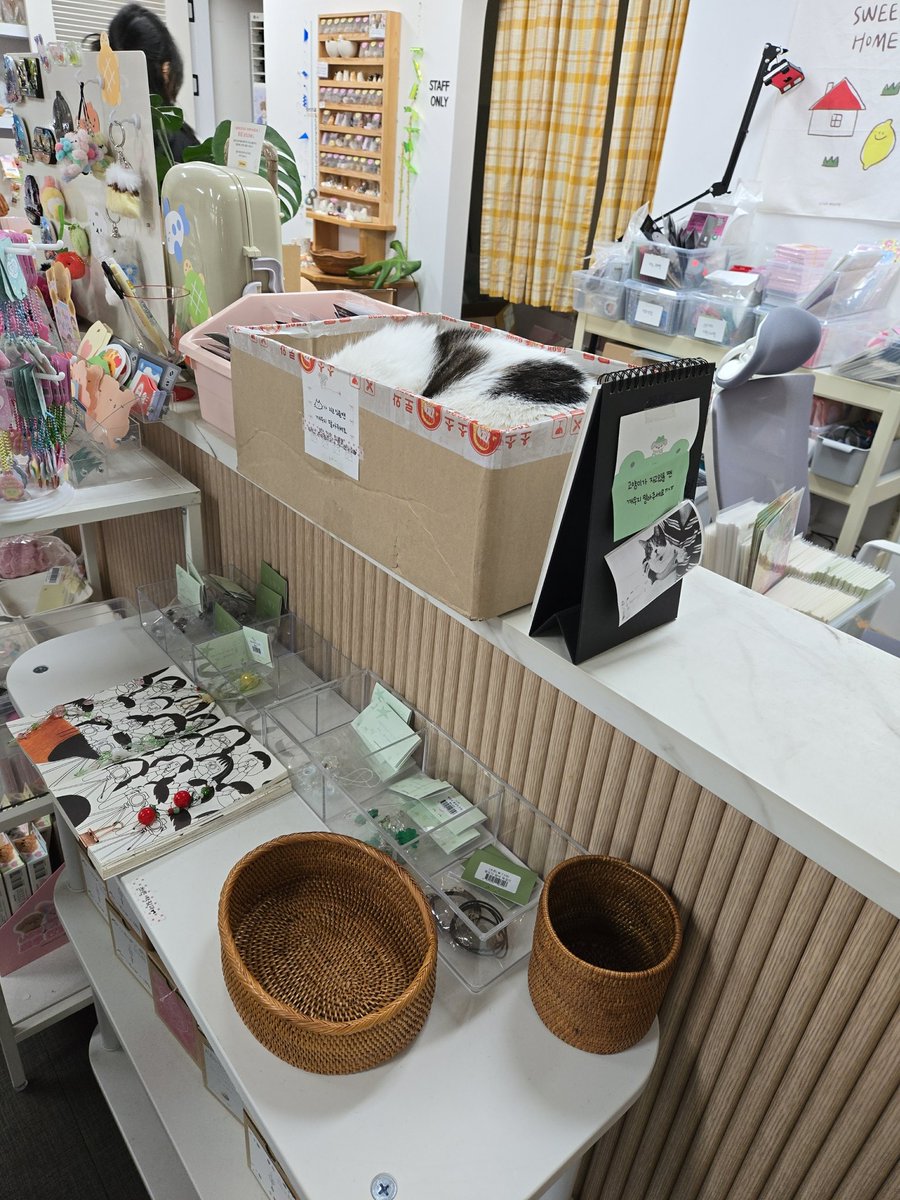 🌙츠시카 tweet media