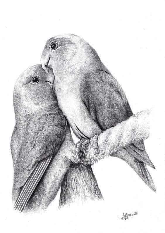 michaelsala7's tweet photo. "God feeds them...
Your Father knows that you need these things... Do not fear."
Luke12
🐦💞
Good morning ❤️🌹👑📖🙏🏻 https://t.co/toQaDaPMbQ