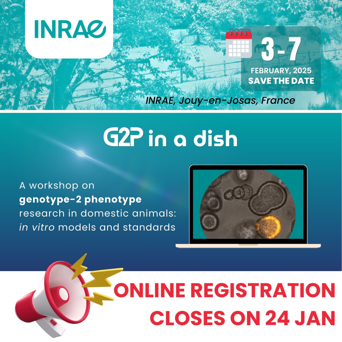 EuroFaang's tweet photo. Deadline for online participation is closing today! 🚨
Experience the potential of #CellularSystems & #GenomeEditing in farm species to validate hypotheses and explore new ones while adhering to the ethical principles of the #3Rs.
Register now 👉 https://t.co/lnrPO0ZsdK https://t.co/DrfeR1Kwgc