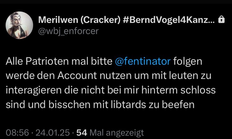 Merilwen (Cracker) #BerndVogel4Kanzler tweet media