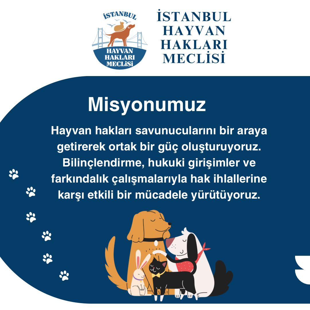 istanbulhhm's tweet photo. İSTANBUL HAYVAN HAKLARI MECLİSİ 

📍Hayvan hakları savunucuları olarak bir aradayız
📍Hayvanların koşulsuz yaşama ve özgürlük haklarını savunuyor, hak ihlallerine karşı mücadele ediyoruz
📍Daha adil bir dünya için birlikteyiz. Sizleri de meclisimizde bir arada olmaya çağırıyoruz! https://t.co/JlStkszSyT
