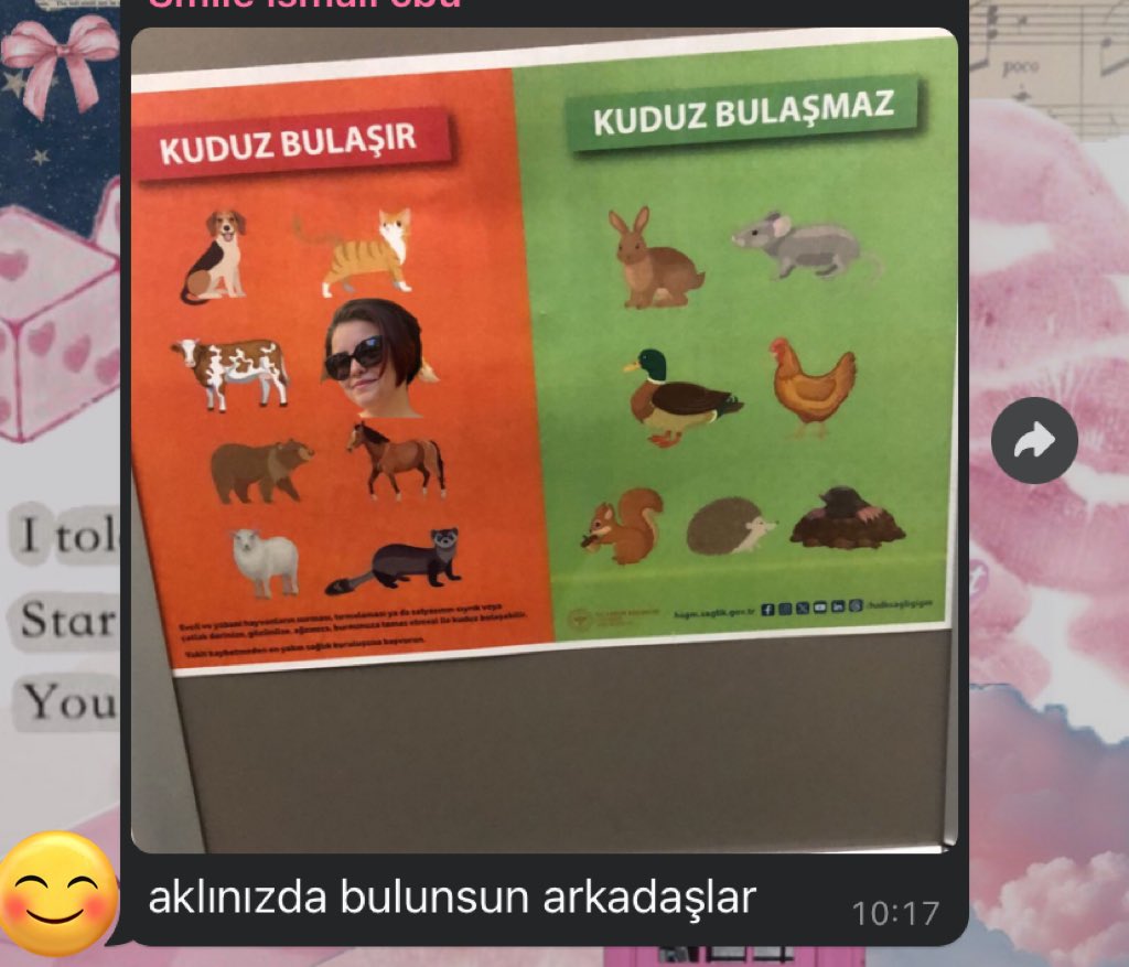 bu esnada benim agalar
