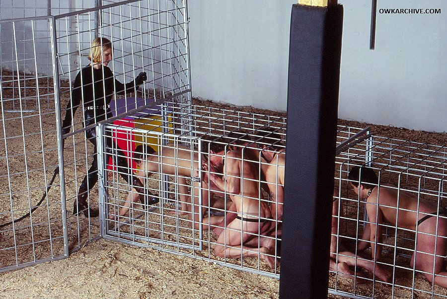 OWKARCHIVE.COM - update today: 10 photos 

OWK history since 1996 * FemDom only!👠
92 Ladies, 47600 photos &amp; 558 clips for 1 password (19$) 
JOIN US! owkarchive.com/buy.php

📷 Madame Ilona at <a href="/OWKreal/">OWK</a>