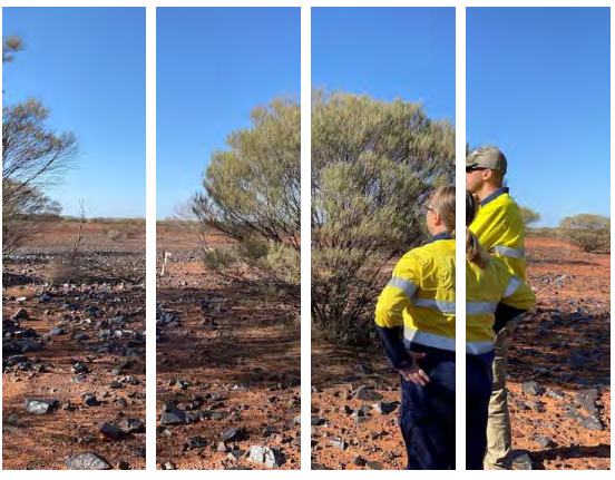 ToroEnergyASX's tweet photo. Wiluna has Attractive economics 👇ℹ️
Attractive economics based on standalone Scoping Study for Lake Maitland - strong upside potential on consolidation of the deposits. 
🇦🇺ASX: TOE #uranium #nuclearenergy #Australia #WesternAustralia #stocks #markets https://t.co/RiV4RWA3Rq