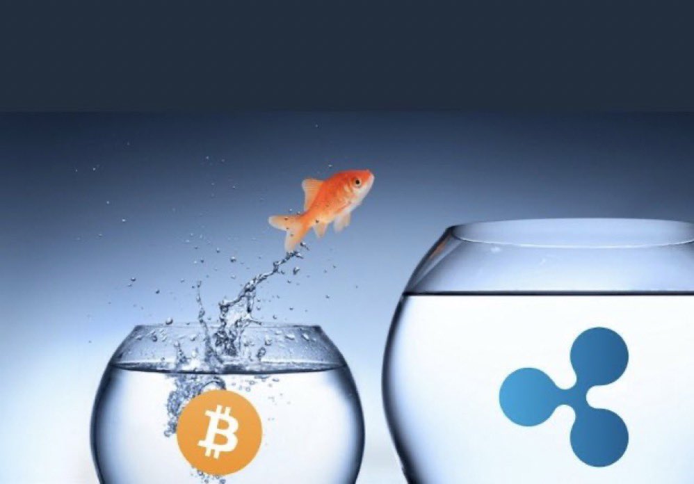 #XRP 🔜 💥💯🚀