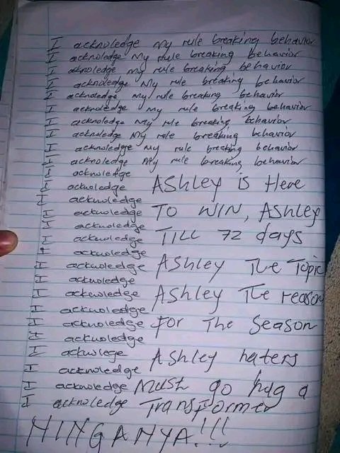 idekmfs's tweet photo. WE PIN WITH ASHLEY 
ASHLEY IS OUR CHOICE 
#AshleyOgle 
#BBMzansi https://t.co/7cb4wMEuEp