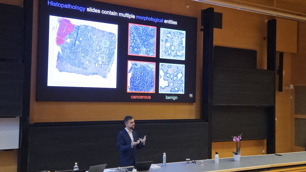 Joakim Lindblad tweet media